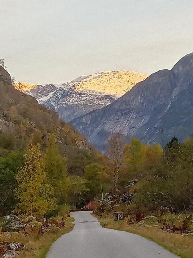 Mallabu Eidfjord Dış mekan fotoğraf